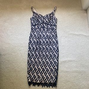 Coast Illusions Lace Navy Blue Sheath Dress